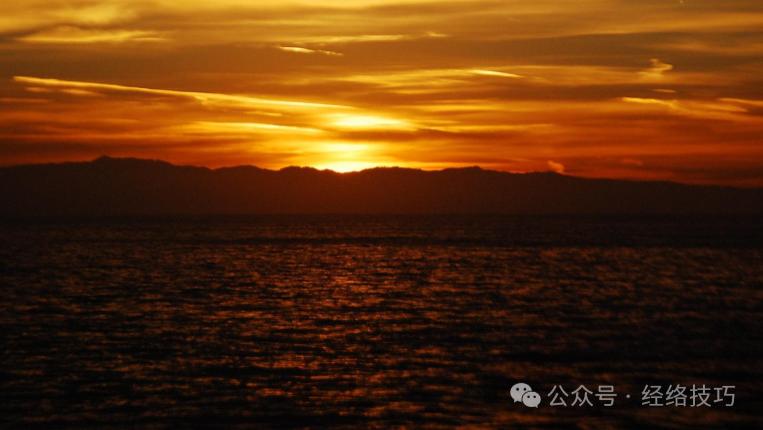 冬至一阳生，唤醒它的不是羊肉！抓住48天阳气萌芽期，关键是助这条经络“自通”