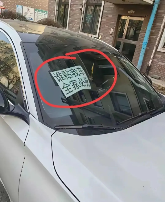 一个敢横，一个敢贴…… ​​​
