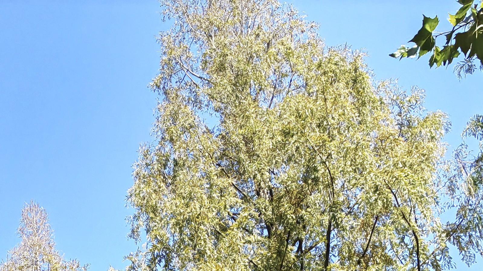 职场起伏是常态，自己破局不意外