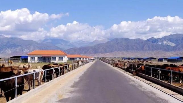 跨越5000公里，他们把山海间的“鲜”带到了餐桌