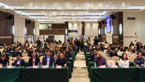 中职AI赋能交流会在穗举行 探路数智化转型高质量发展