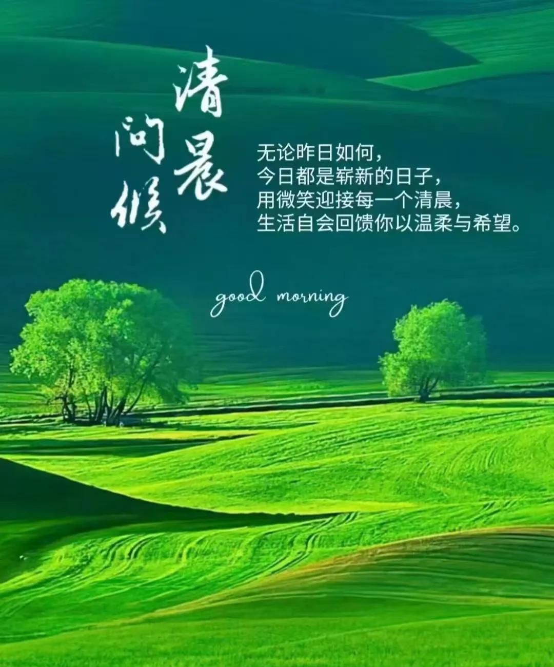 早上好，今天是5月24日星期六。
无需晦言，对赵勇我是投了不信任票的，他执教辽宁