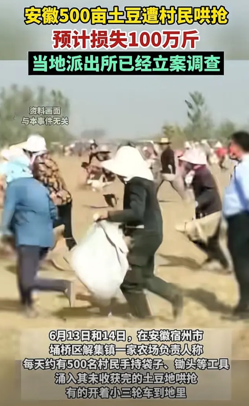 安徽宿州618力度这么大吗？
看到新闻安徽宿州数百村民哄抢土豆，才知道原来另一位