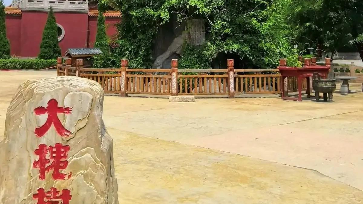 “华人老家”的乡愁坐标｜山西临汾洪洞大槐树旅游攻略：在一棵古槐下，读懂千万人的“根”