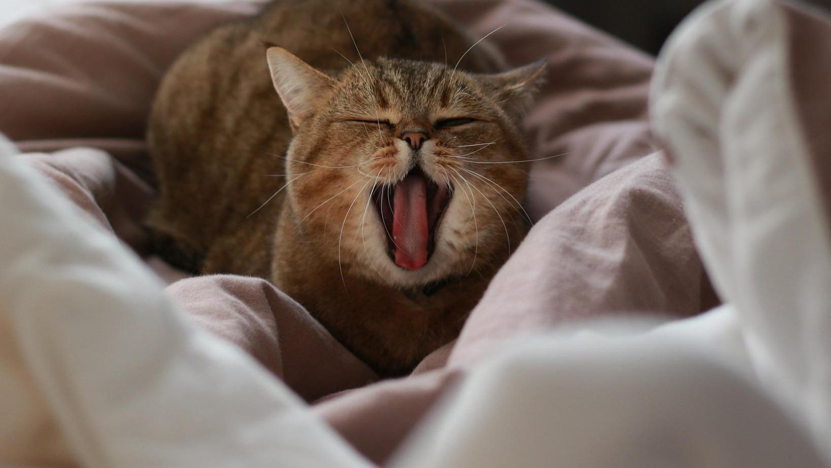 长假应该特别开心，但为什么有时候感觉很空虚？