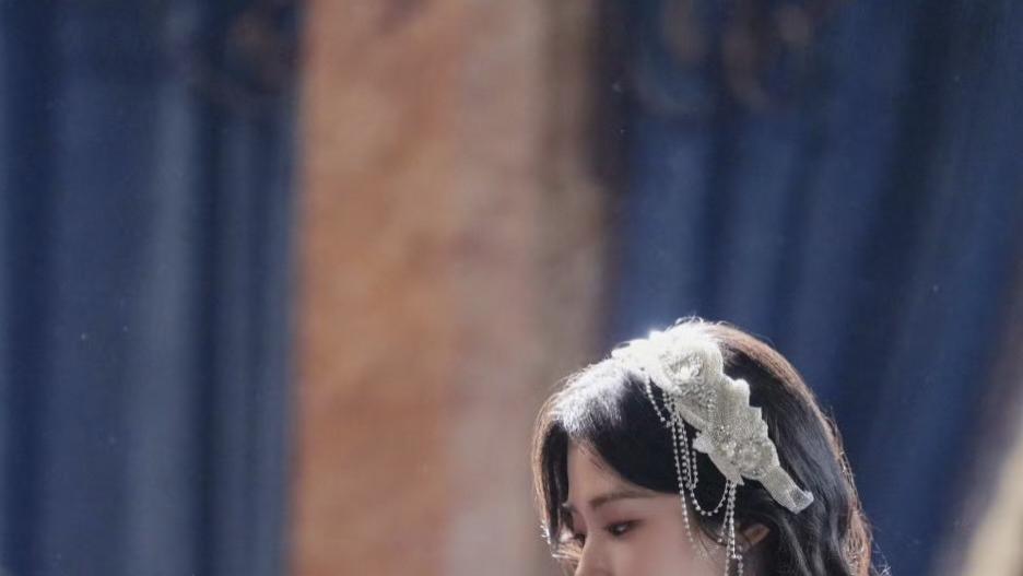 猫的树 氛围感的神