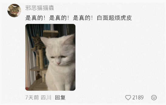 白面虎皮定律:顺着白面馒头耳朵的方向就能找到虎皮蛋 ​​​