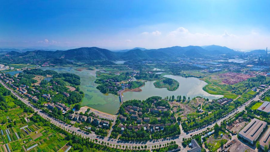 涉违建被拆，法院判定程序违法：拆违咋又“李代桃僵”？