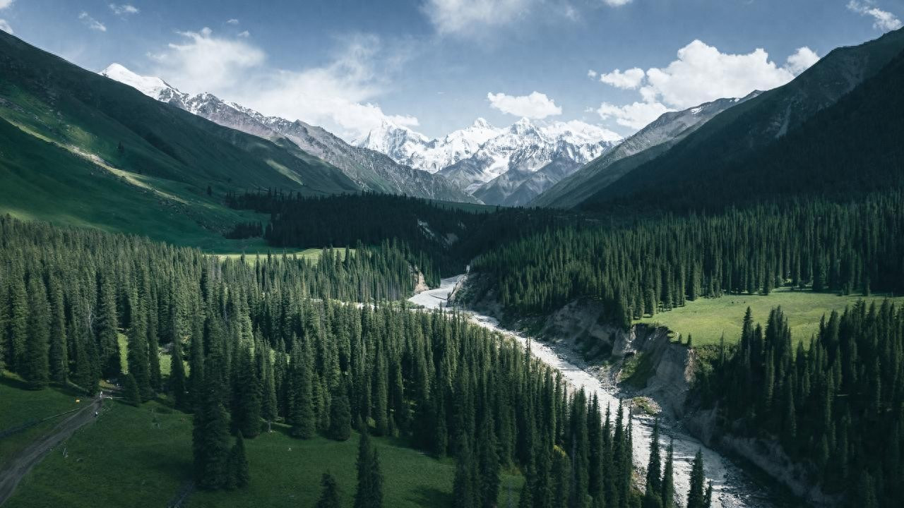 丝印烤盘耐高温耐酸碱双优：复杂工况下的生产稳控核心