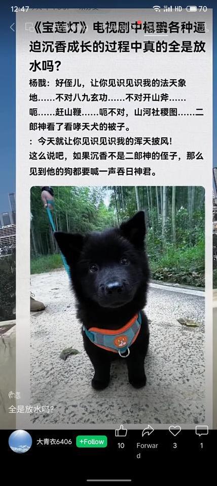 《宝莲灯》剧中二郎神杨戬逼迫沉香成长时是否全程放水？讨论指出其表面严厉（如展示法