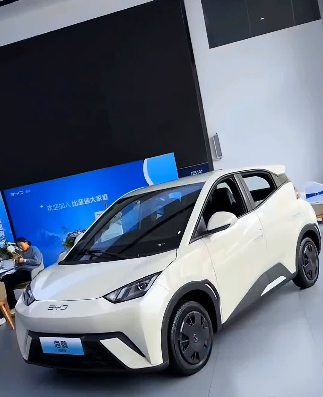2025款比亚迪海鸥。
性价比简直无敌，2025款比亚迪海鸥智驾版重磅来袭，目