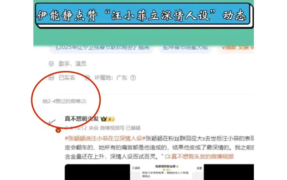 伊能静或许怎么也没想到，她手滑点的一个赞，或许成了她婚姻矛盾的导火索

当初