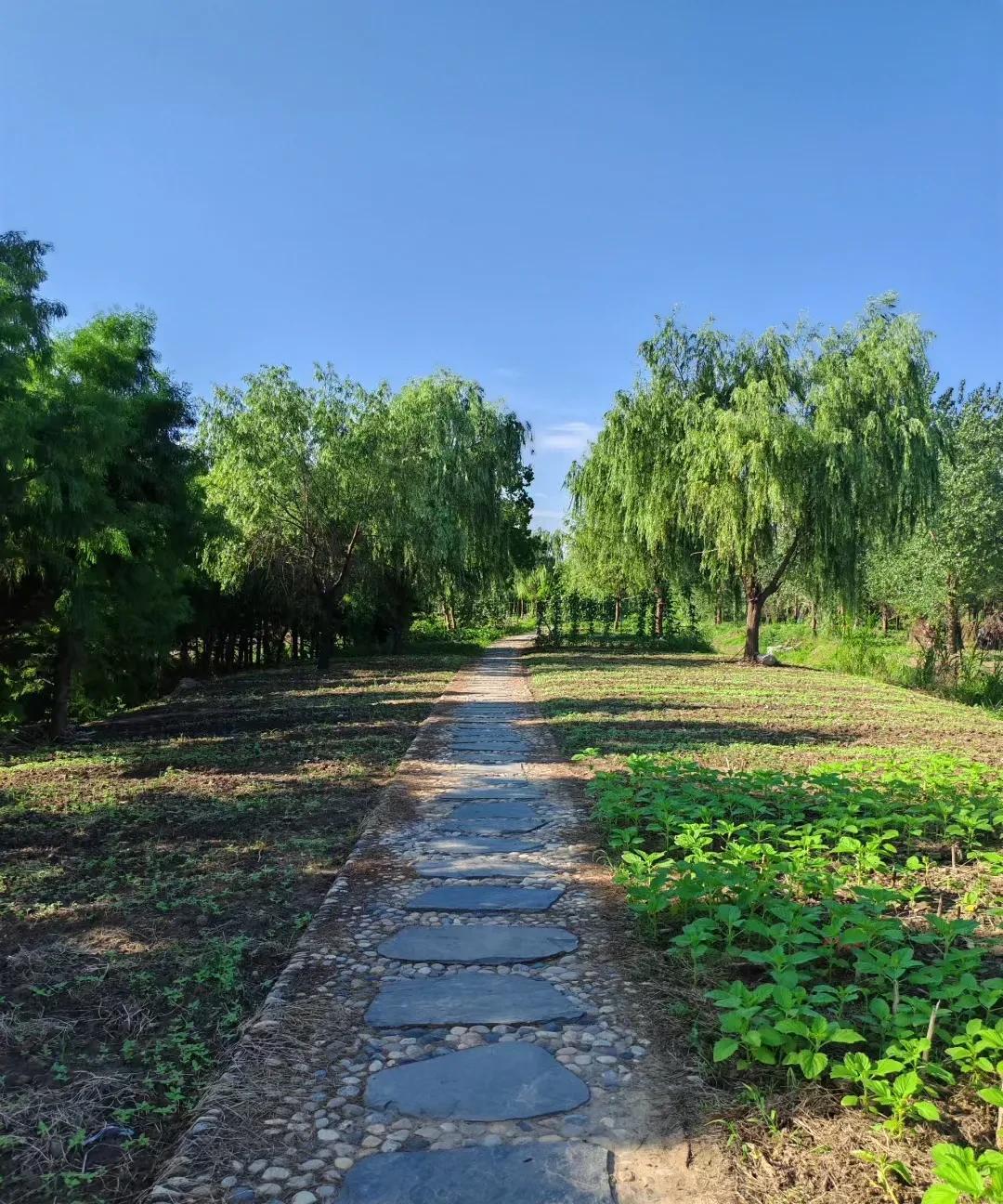 我发现周围一个怪像
身边两口子凡是过得鸡飞狗跳的，他们必定有一个相同之处，那就是