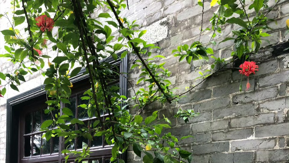 许绍雄岳家捐赠岭南名园清晖园，TVB黄金配角与岳家的往事