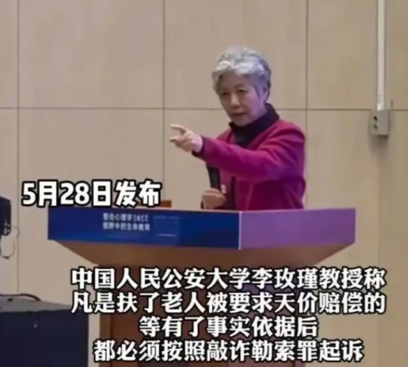 “不够判刑，那就高额罚款！”中国人大李玫瑾教授去年建议，凡是扶了老人被要求天价赔