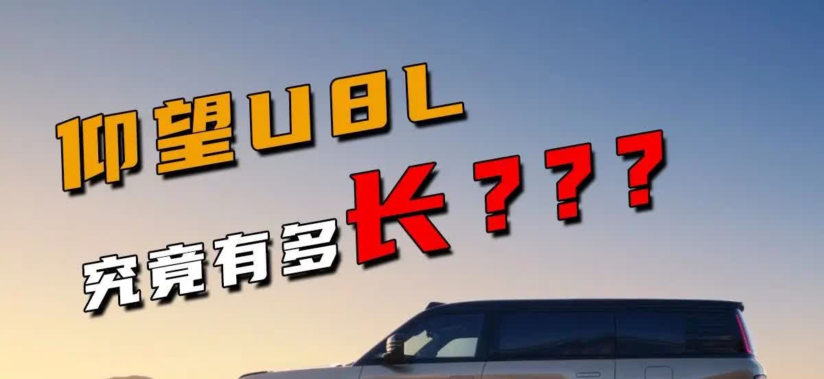 日本，1月比亚迪卖了53台
俄罗斯，1月比亚迪卖了131台
德国，1月比亚迪