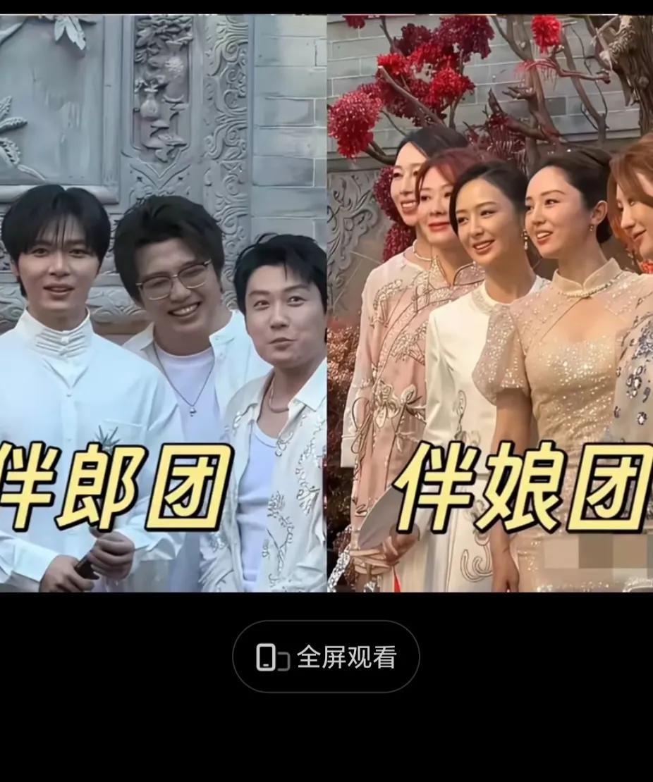 董璇二婚我能接受，二婚对象是张维伊我也能接受，可看到伴娘团和伴郎团，我是真忍不住