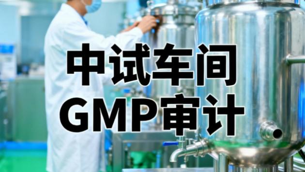 中试车间GMP审计核心标准：医药行业合规实操指南