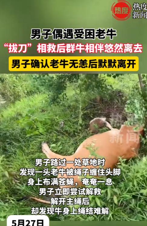 “积大德了！”5月27日，广东阳江，一幕感人的场景发生在山间。



那天，一位