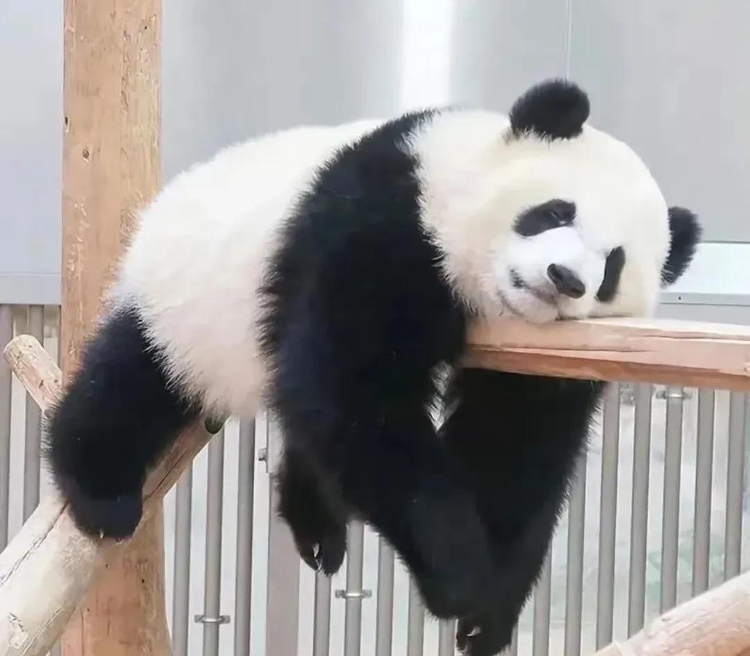 一切都变味了，
很多人不爱发朋友圈了，
因为朋友圈已经不是记录生活的了，
以前大