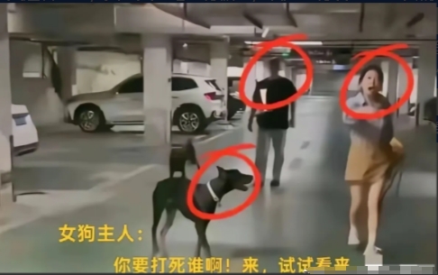 丹阳市因为狗和主人出名了。
相信很多人之前都不知道江苏省有个丹阳市，但是这两天江