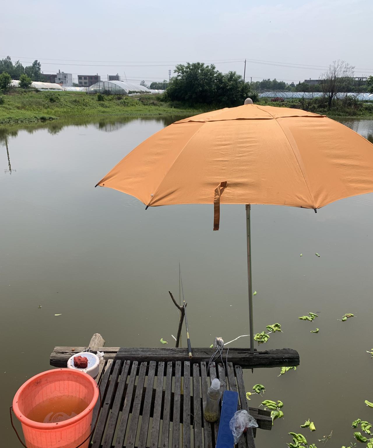 钓一杆晨光，拎一筐人间烟火！
        当鱼线静静垂入水中，鱼群掠过的阴影