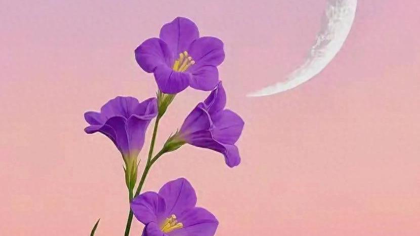 无论做什么事，先要努力完成，再去打磨完美