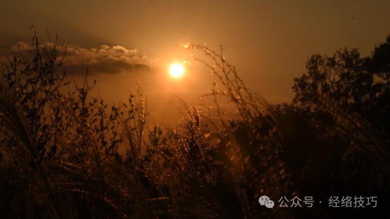 放屁多的人，肠胃好还是不好？提醒：这3种屁要格外注意！