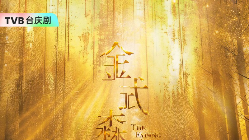 TVB台庆剧《金式森林》埋堆堆、粤视厅TV热播中：探讨家族与人性质感获赞