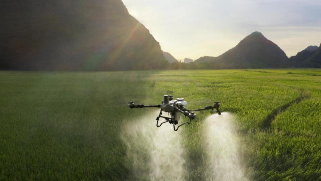 田间地里的大疆