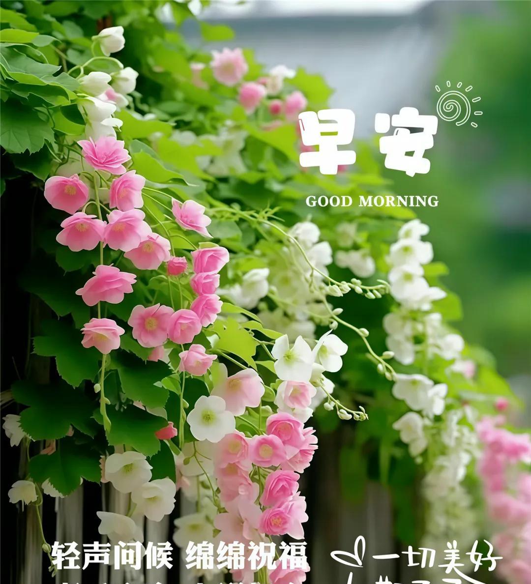 《晨悟》
朝晖漫染翠帘栊，露缀芳枝韵自融。
醒带灵犀驰远志，行携暖霭沐韶光。
尘