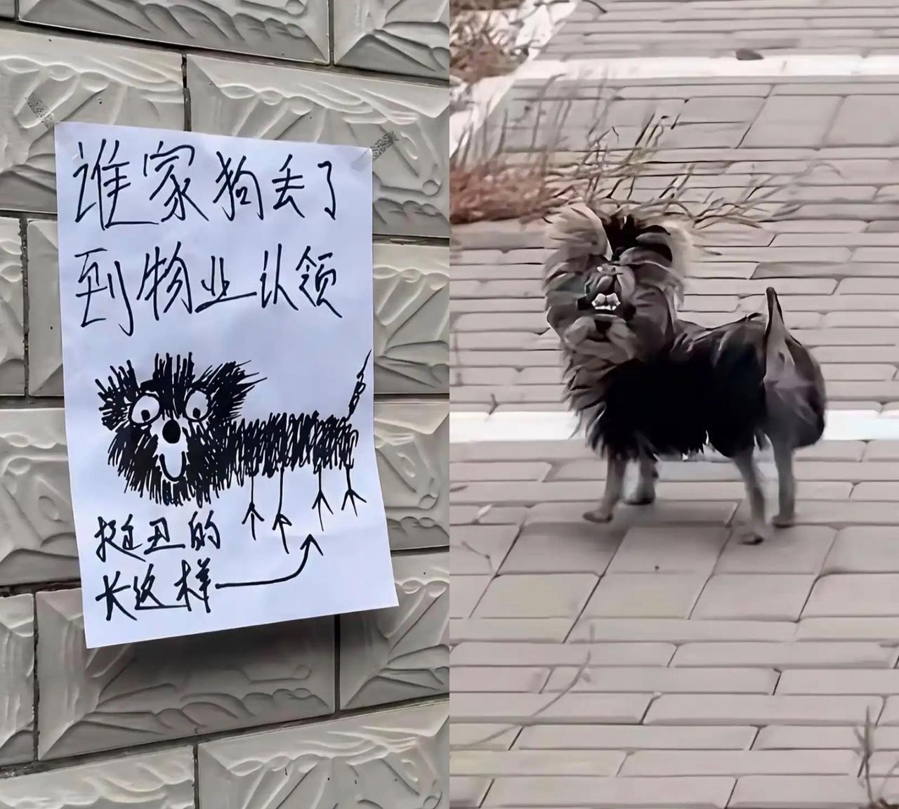 这绘画水平绝对可以堪称是灵魂画手级别的，看起来是潦草写意，但事实却是无比写实，只