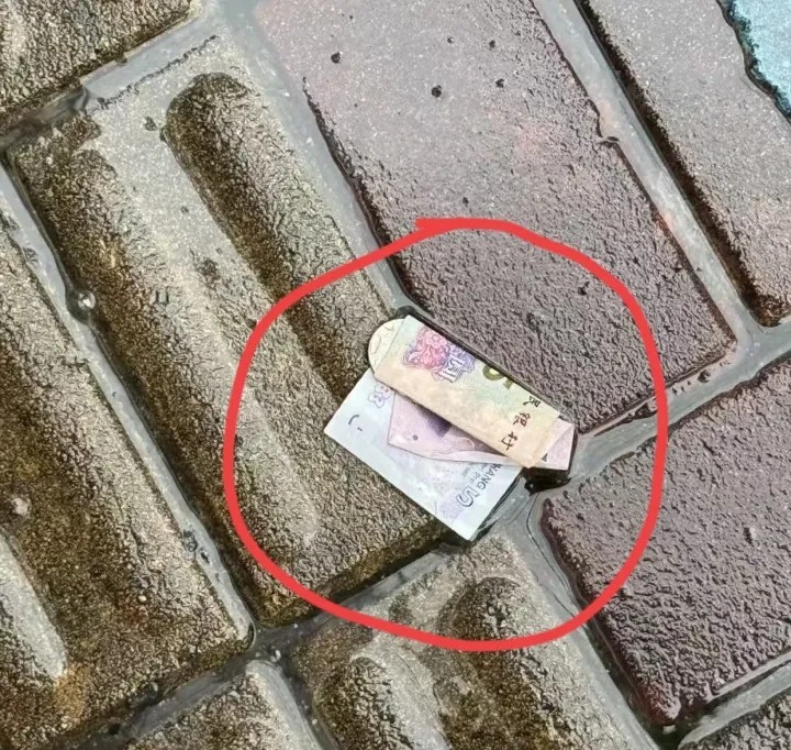在路上看见这个玩意，你们会怎么做？会捡吗？