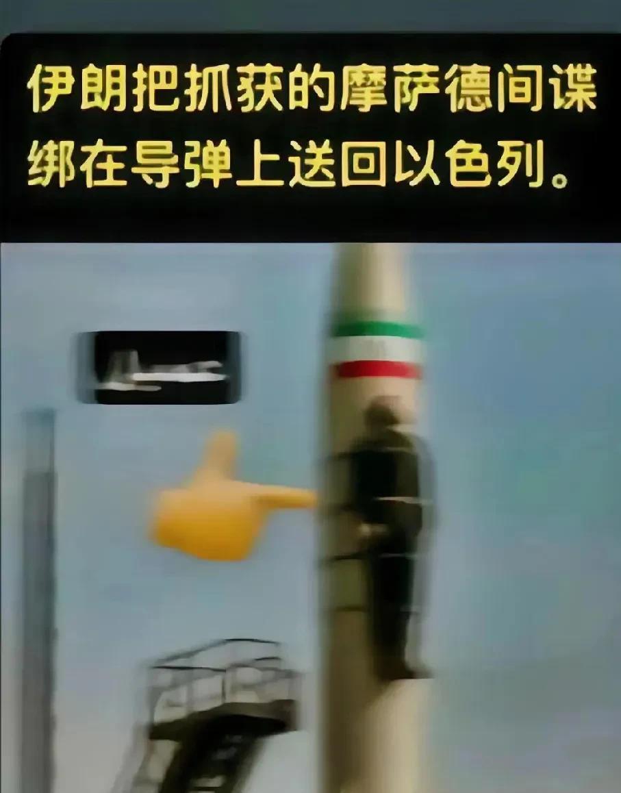 一夜之间
全世界第一个真正坐火箭的人出现了。
世界第一人，感觉可以直接申请吉尼斯