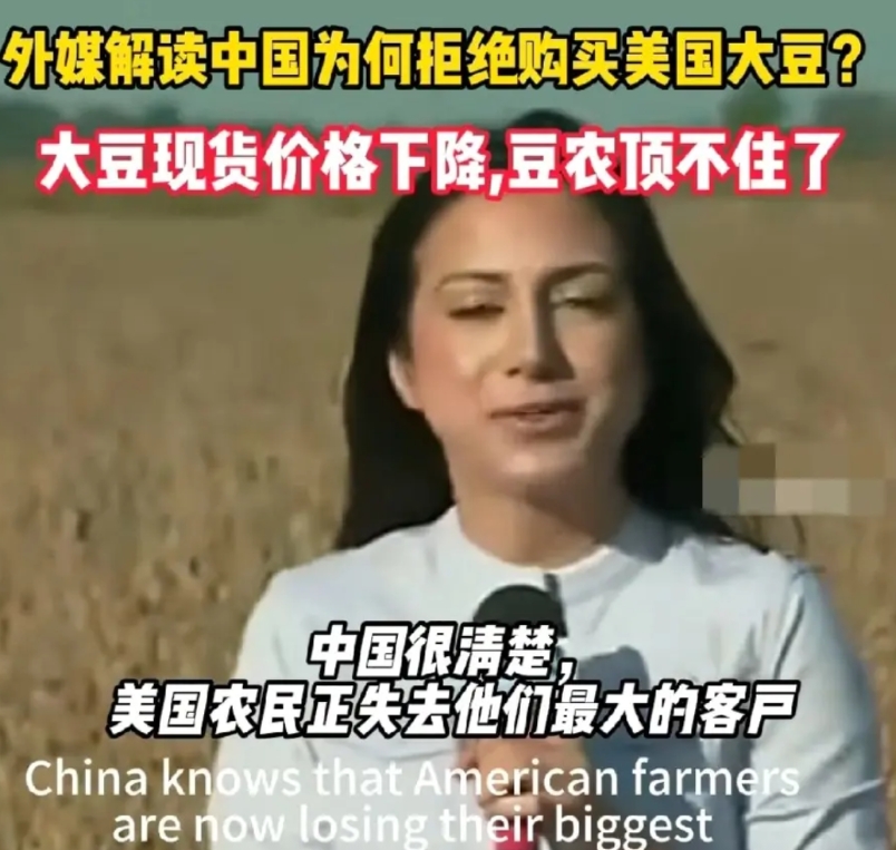 中国如今不买美国大豆，压根不是意气用事，全是美国多年作妖埋下的祸根。

早在上世