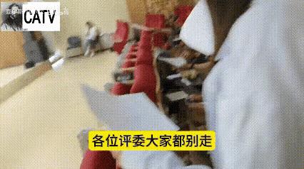 前不久的一天，第十一届孔雀杯全国高等艺术院校的某一场声乐歌剧展演刚刚结束，评委们