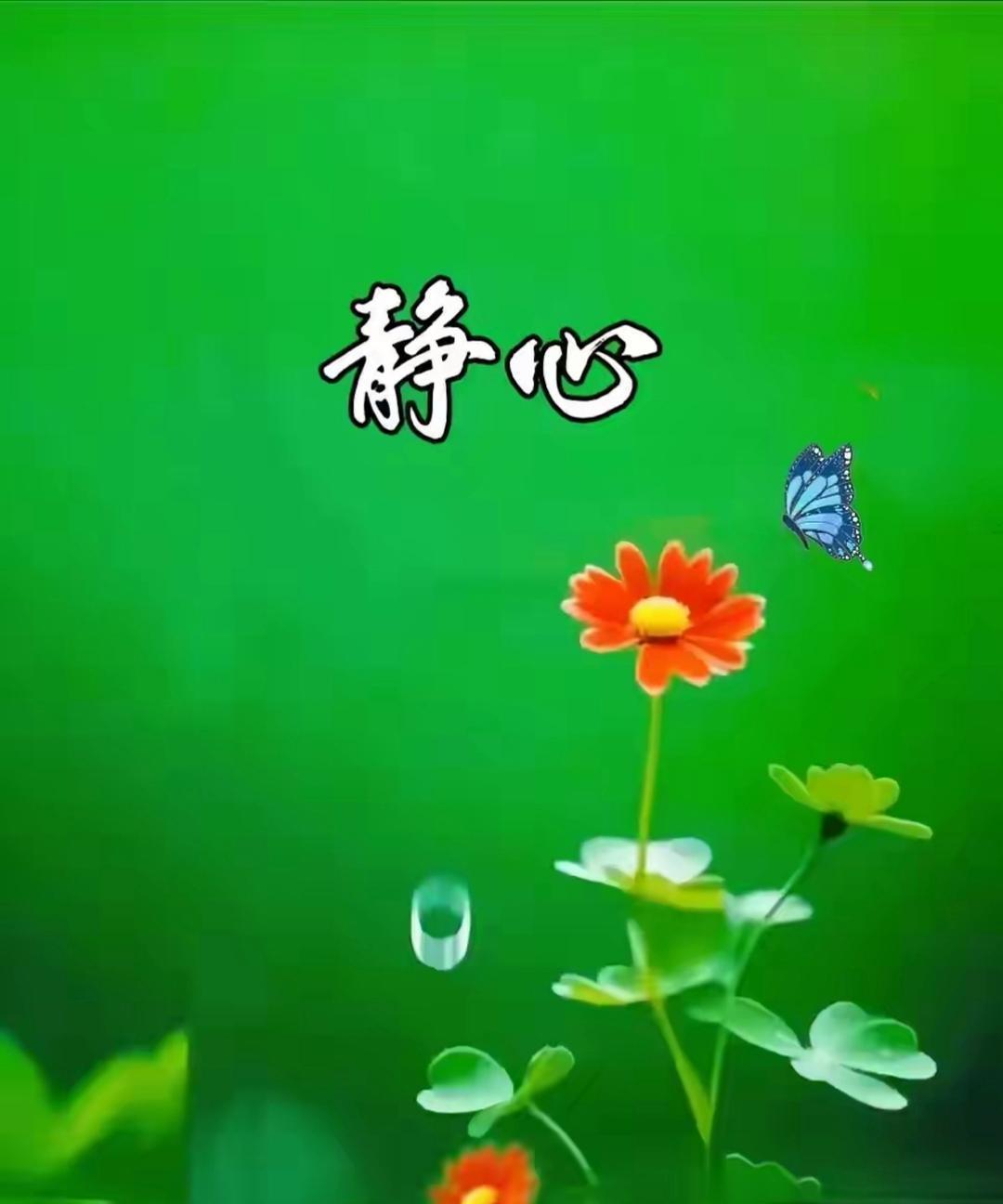 带缘分的人一定要把自己最真实的一面展现出来，千万别心口不一，你所有的小聪明能骗的