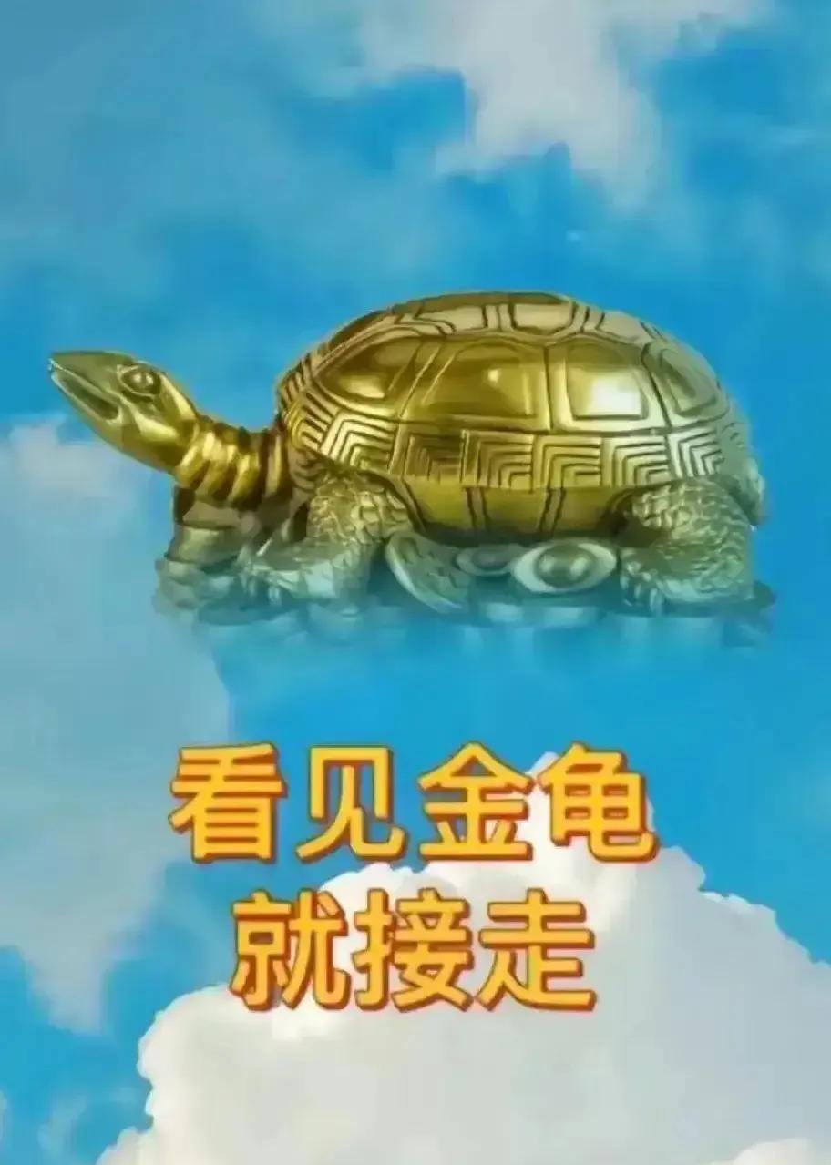 刷到“金龟”，你千万不能无视它！
无视金龟，你的好运，财气就没了！
留下一句“接