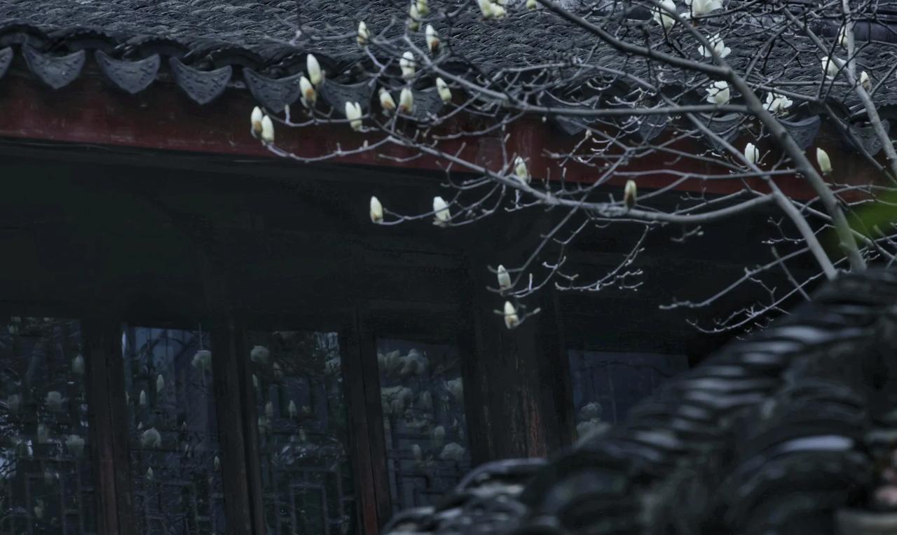 在湖州苕溪西路的高楼群中，一片白墙灰瓦的古建筑静默伫立，这便是钱业会馆。
这里位