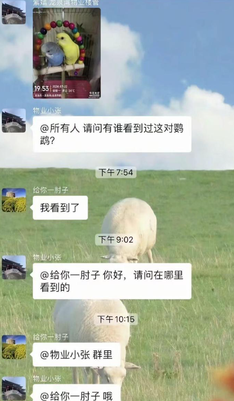 小区群里的这些对话也太搞笑了! ​​​