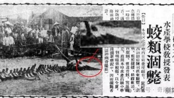 辽河悬骸：1934年田庄台至营口坠龙事件全考
