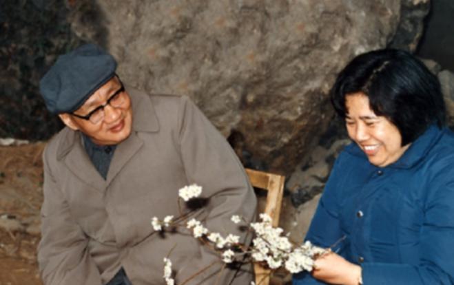 1960年，毛岸青37岁时，在休养的地点遇到了自己的嫂子刘思齐，刘思齐听说岸青还