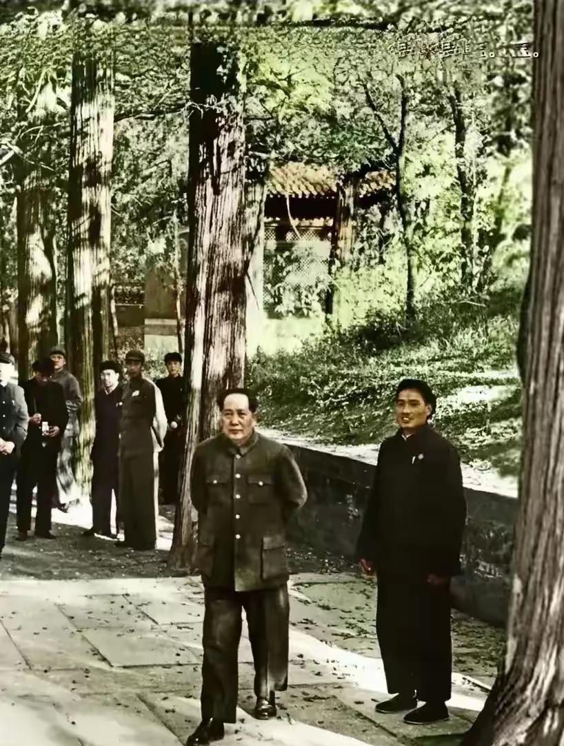 1952年10月，毛主席来到济南考察工作，28日这天毛主席对罗瑞卿说，咱们到曲阜