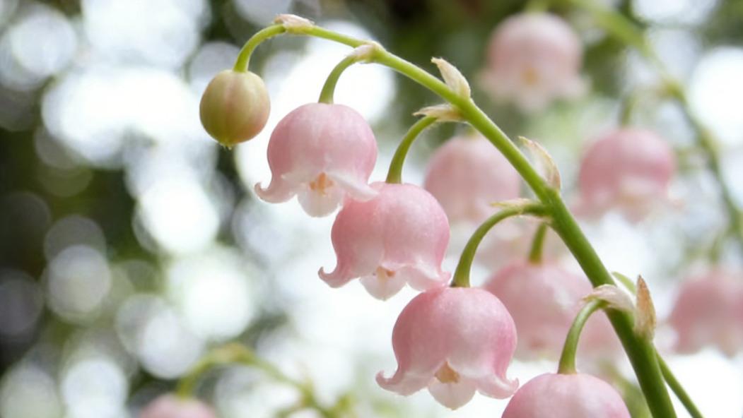 男人动了真心的模样：把这三样温柔，独独给你