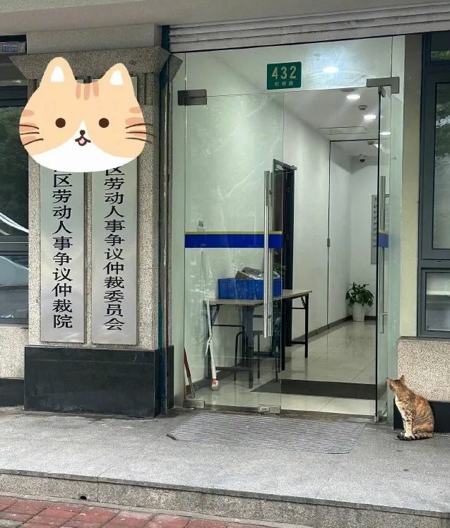 是谁把小猫逼去劳动仲裁了