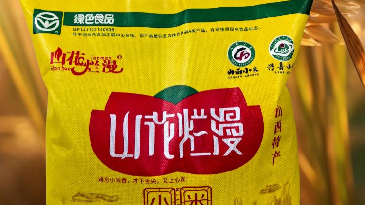 兴县山花烂漫小米：自然馈赠的金黄宝藏