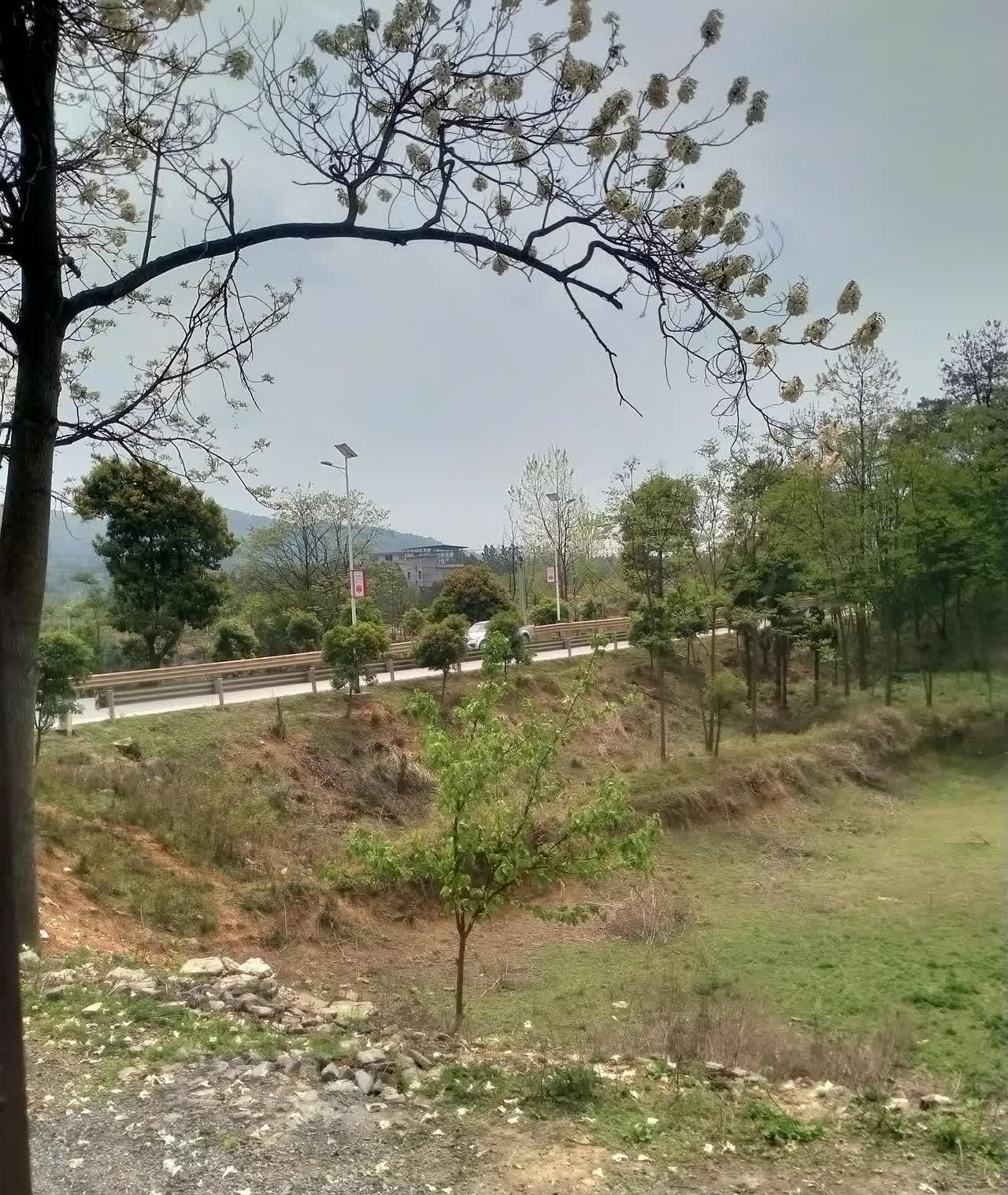 刚才村委喇叭说，有一个男孩，昨晚被爷爷奶奶批评教育，晚上九点钟离家出走，到现在还