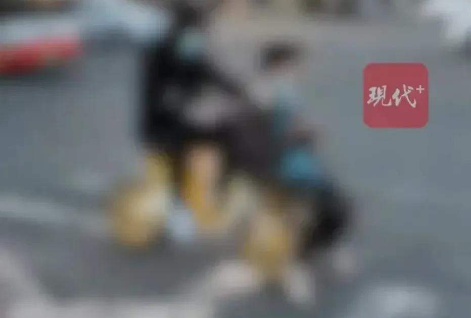 江苏启东男子陈某某驾驶单车摔倒，造成坐在他车篮中的刘某某摔伤死亡。当地法院判决陈