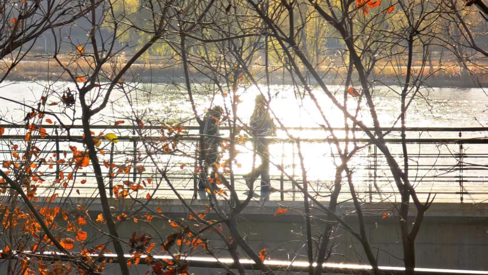 石景山拍客•今日精选 61 | 初冬，石景山的独家浪漫