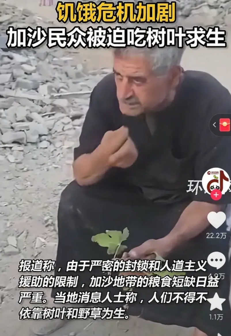 泪目！现状真的有这么惨吗？
加沙的平民吃上了树叶，肯定是饿的不到万不得已，否则不